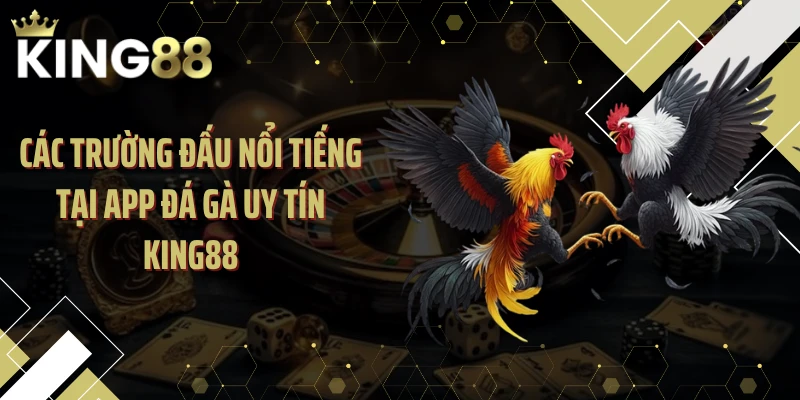 Các trường đấu nổi tiếng tại app đá gà uy tín KING88