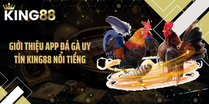Giới thiệu app đá gà uy tín KING88 nổi tiếng