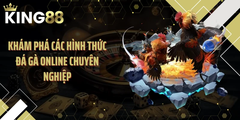 Khám phá các hình thức đá gà online chuyên nghiệp