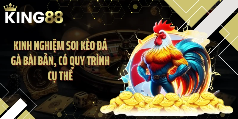 Kinh nghiệm soi kèo đá gà bài bản, có quy trình cụ thể