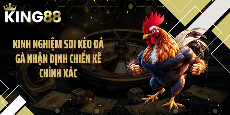Kinh nghiệm soi kèo đá gà nhận định chiến kê chính xác