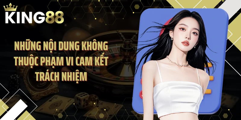 Những nội dung không thuộc phạm vi cam kết trách nhiệm