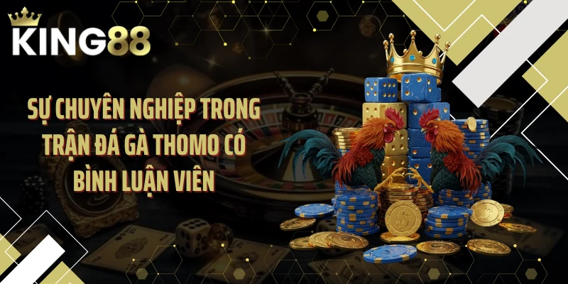 Sự chuyên nghiệp trong trận đá gà Thomo có bình luận viên