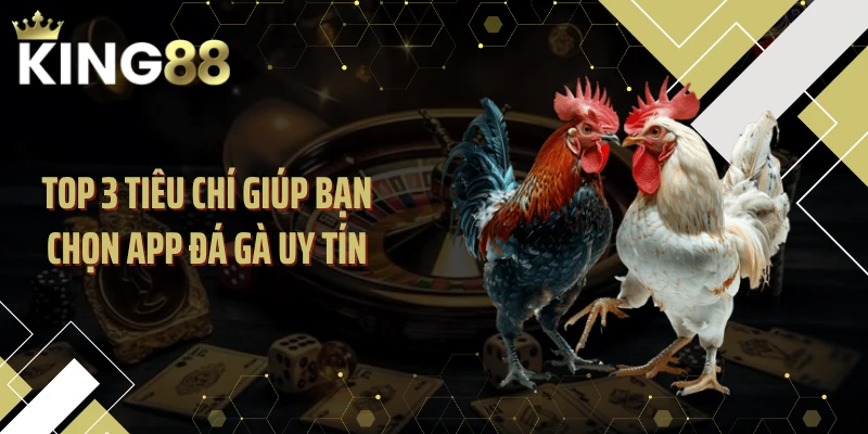 Top 3 tiêu chí giúp bạn chọn app đá gà uy tín