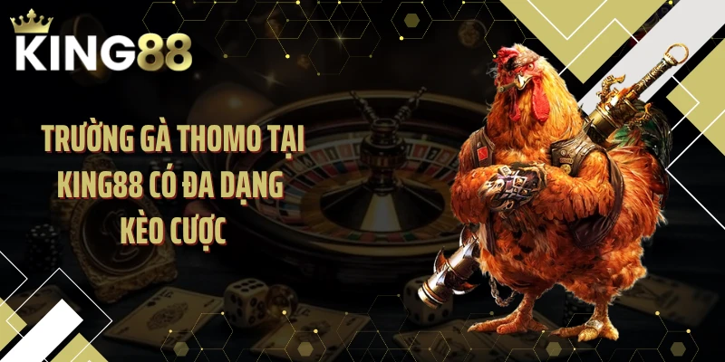 Trường gà Thomo tại KING88 có đa dạng kèo cược